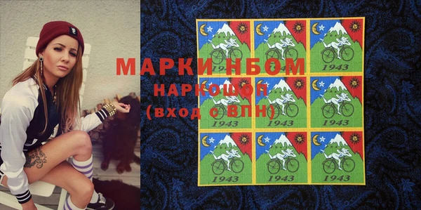 стаф Аркадак