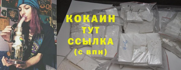 стаф Аркадак