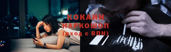 стаф Аркадак